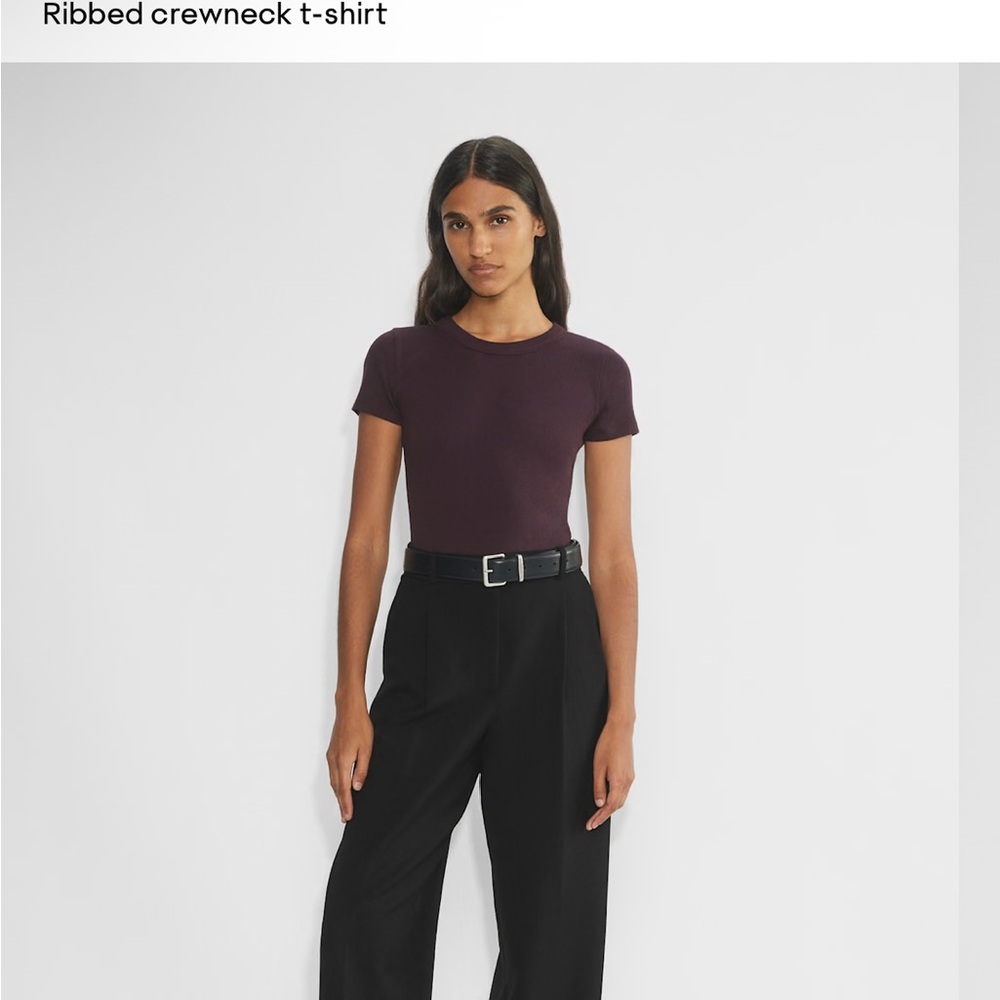 Aritzia Ribbed Crewneck T-Shirt in Noble (Dark Purple)